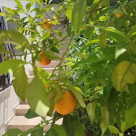 On The Historic Castle Hill Apartmán *