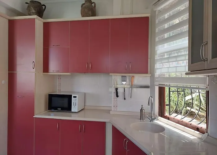 On The Historic Castle Hill *